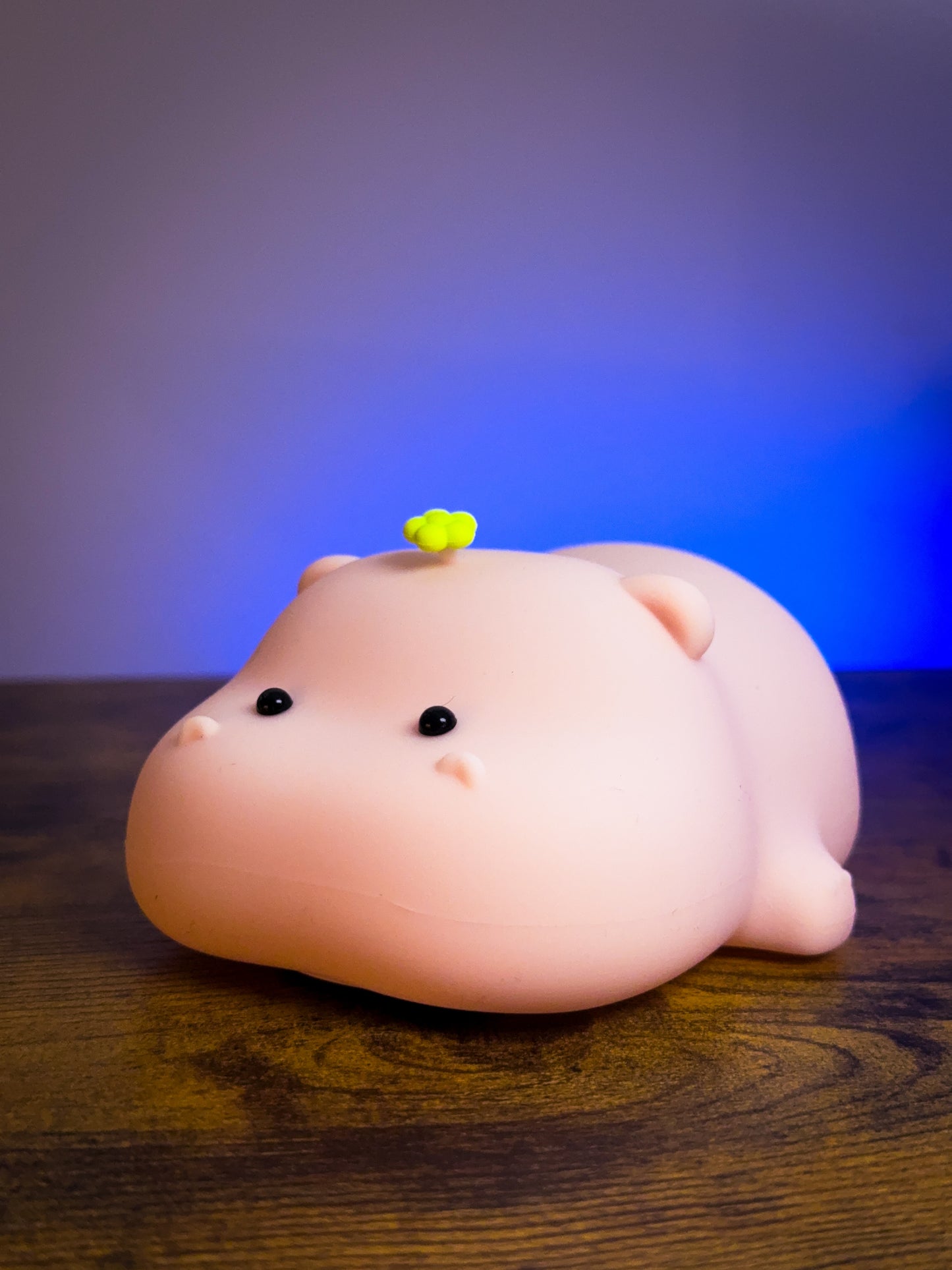 LitzPaw - The Revolutionary Pet Lamps